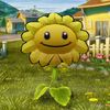 kawai3pvz