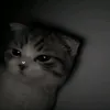 shadow_blood4