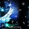 starlight_23462