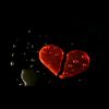 kemal_7_bela