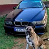bedu.tuning