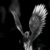 12rx0ul_rafx09