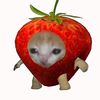 yourfavvstarberry