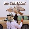 el.3rgany