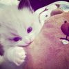 zmie.th