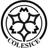 Colesice®