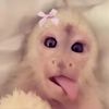 michelleokind0
