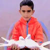panhwar22