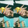 nylacya