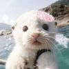 dorafromtemuxx