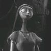 miss_zxplr