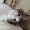 .mizukiwi