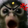 444_jaade