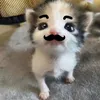 whz4ng_