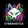 Cʏʙᴇʀɴᴇᴛɪᴄs 👾