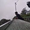 ajiprayoga526