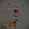 basit.alikhan5