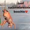 yaseexqqc73