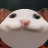 demonic_catis