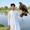 rizwan.rizve863