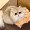 Funny.pet27