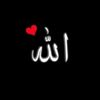 user6131457381627