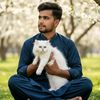 naeemsheikh534