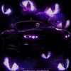 mohamedrachedi261