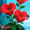 md.hamba7