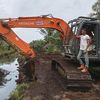 kepiting.gunung2