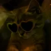 samilla_1433