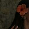 user8650780458432