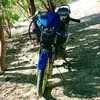 markgilpadilla957