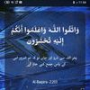 user6215221635994
