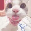 kiyaaa_73