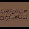 user7491979316605