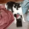 melissa.mller35