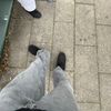 milas_2300