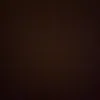 paul_lehner3