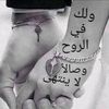 user3206316225681