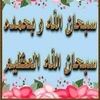 user85115187241430