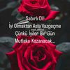 sevin12055