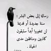 user556608591