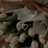 nahir3763