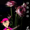 darai.darai5