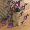 sabedolia_oliental0