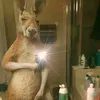 kursn7