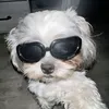 kesha_chek1