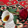 hanimsaqbhea