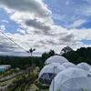 theskyisblue.11